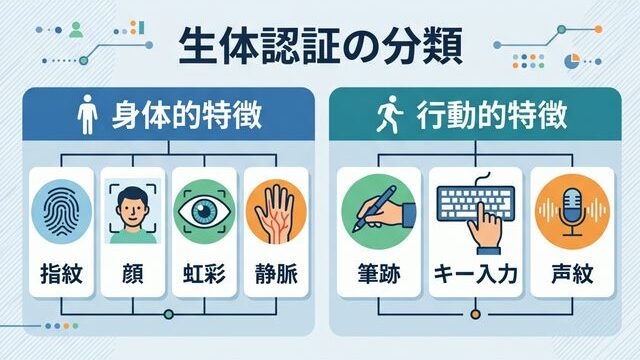 身体的特徴と行動的特徴の分類図